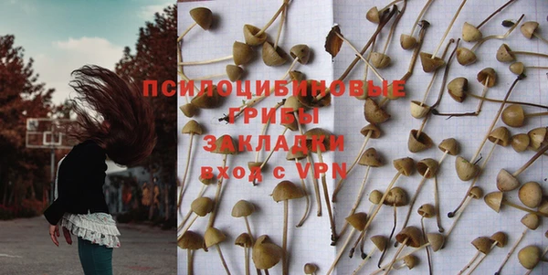 соль ск Покровск